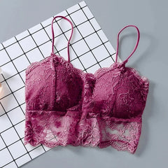 Summer Women Lace Sexy Top Sun Sleeveless Tops padded Bralette Bra Bustier Zipper Back Club Crop Tank lingerie женское белье